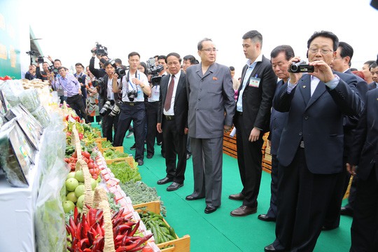 bidrico-xuat-khau-nuoc-qua-trieu-tien